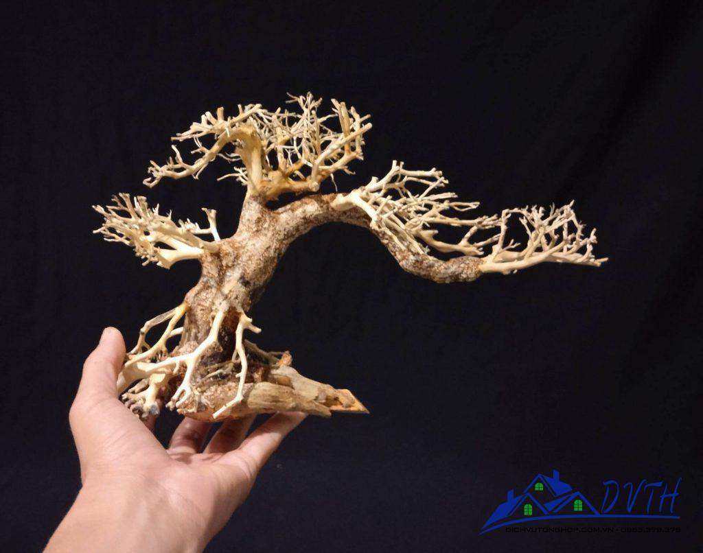 Lũa bonsai thủy sinh cao 12cm