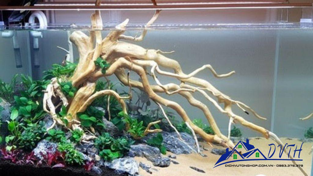 Lũa bonsai thủy sinh cao 20cm