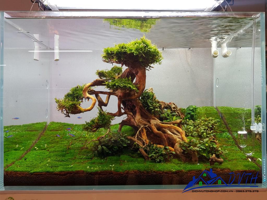 Lũa bonsai thủy sinh cao 25cm