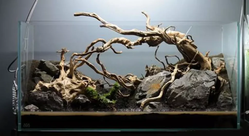Lũa bonsai thủy sinh cao 30cm