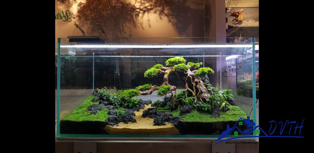 Lũa bonsai thủy sinh dài 12cm
