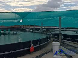 Bạt lót hồ tại Bắc Kạn