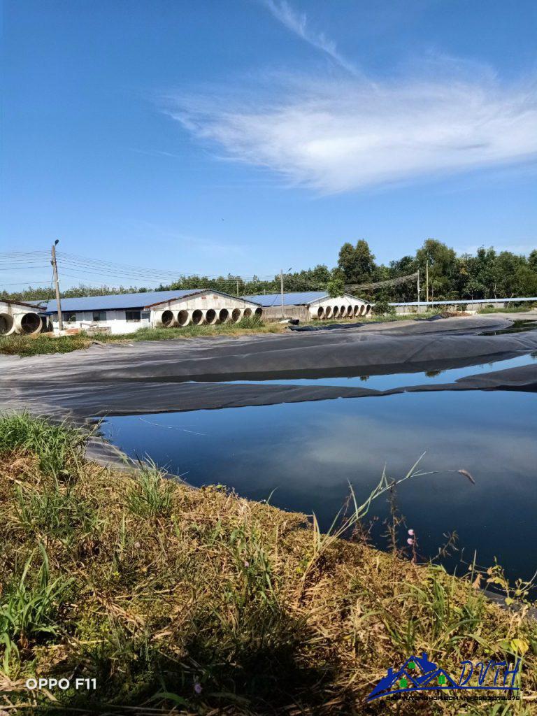 Bạt lót hồ tại Kiên Giang