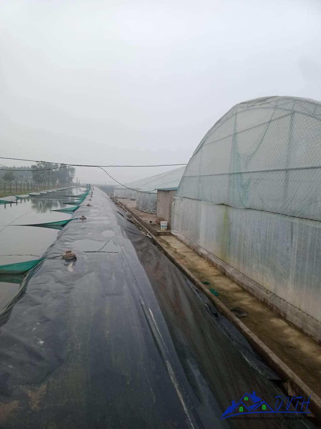 Bạt lót hồ tại Ninh Thuận