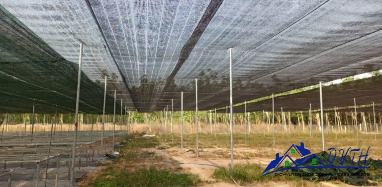 Giá bán lưới tại Bắc Ninh