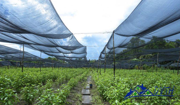 Giá bán lưới tại Thanh Hóa