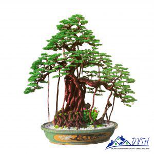 Giá cây bonsai bằng dây đồng